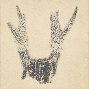 Engraved deer skull
