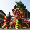 Lion dance at a festival to bring good luck to people