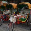 Row of Rickshaws