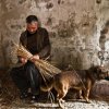 A picture of Mr. Mingzheng Wang, his beloved dog, and rush grass 